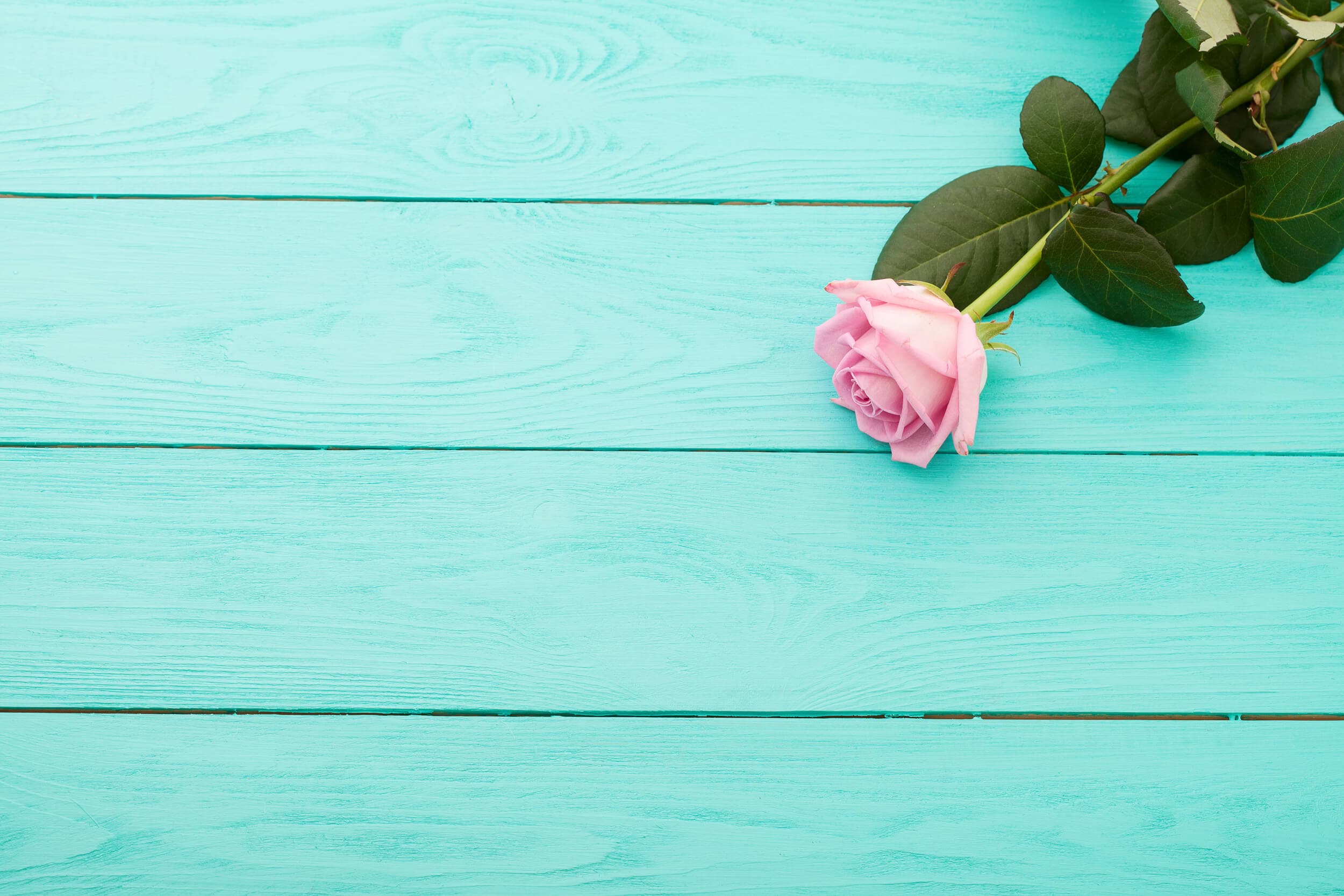 「おひとりさま(ソロ活)」とは?現状や心理を把握してビジネス加速