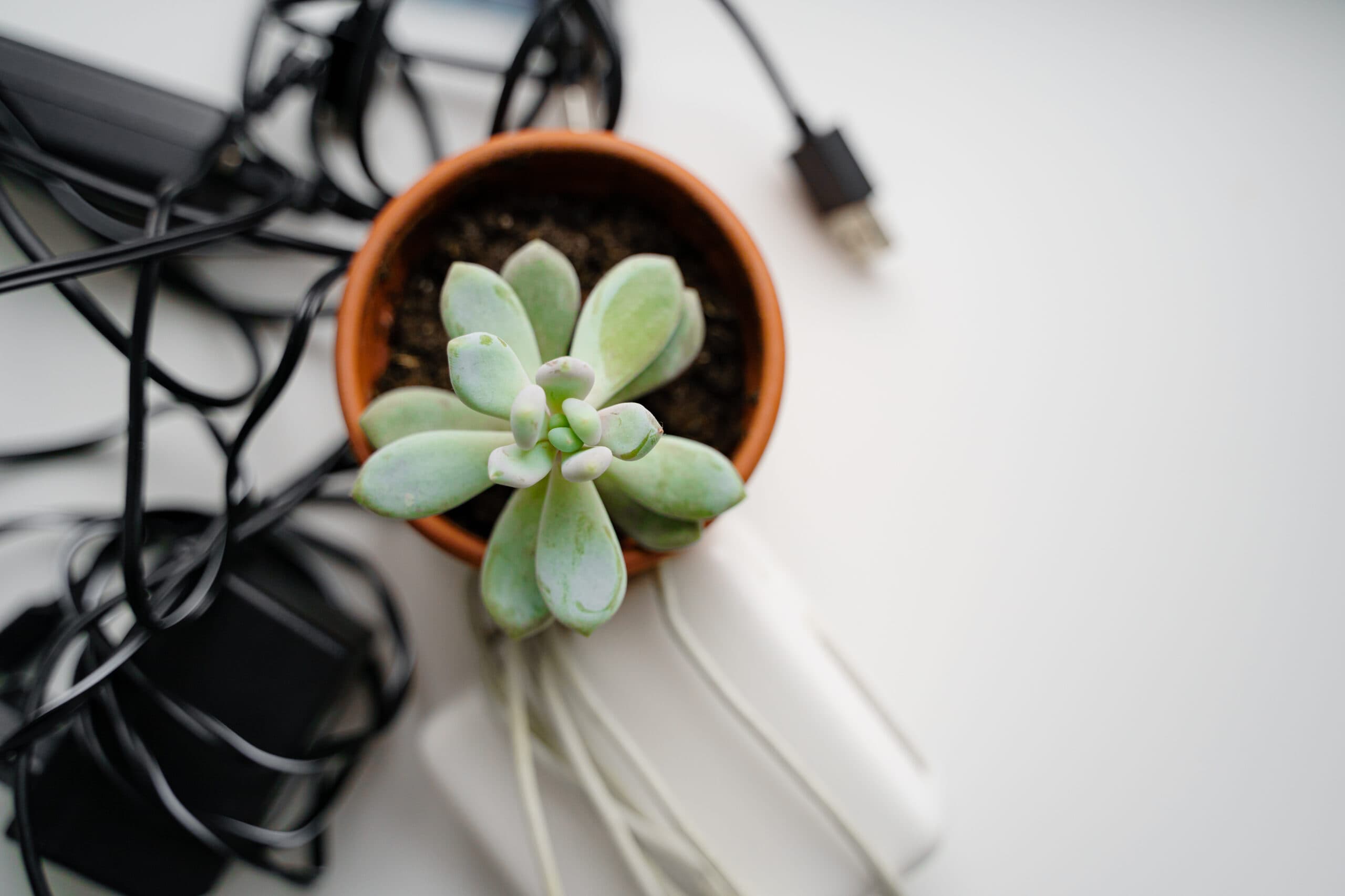 パソコンの捨て方は?買い替え後のセキュリティ問題を回避しよう