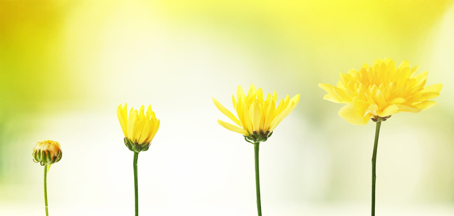 【2023年・2024年】国と大分県の補助金まとめ